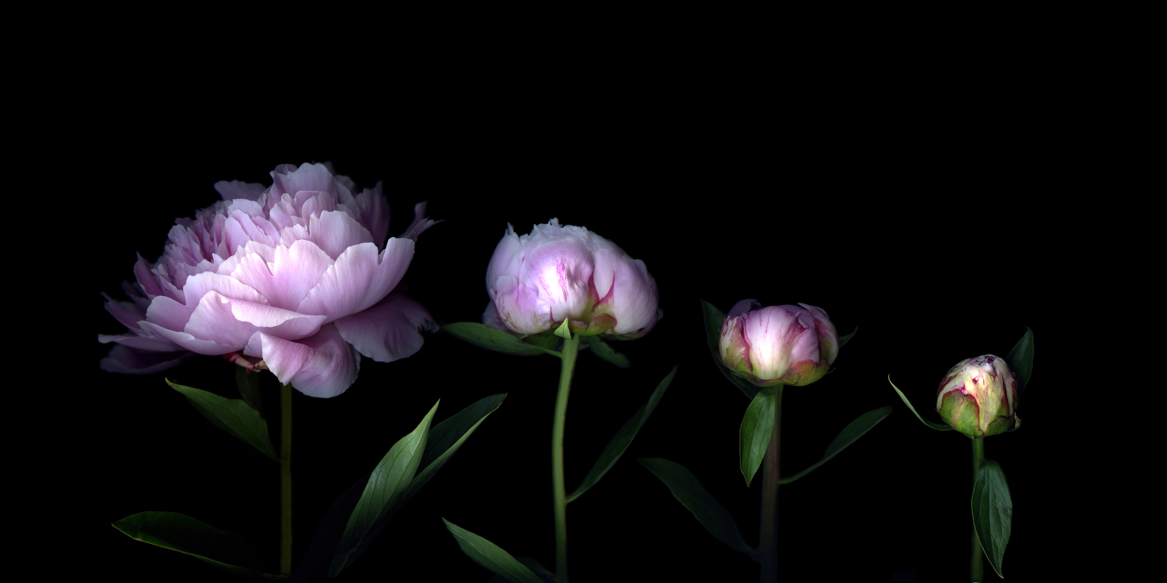 Vaginal Reconstructive Surgery Stories - What It's Like to Have Vaginal