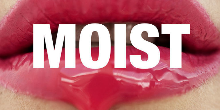 why you hate the word moist word cover letter
