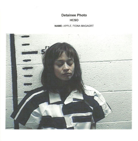 Fiona Apple was arrested in September 2012 in Texas, when police claimed they found hash&nbsp;in her tour bus. She was released after posting a $10k bond, and a few days later addressed the arrest in concert, calling out officers&nbsp;for&nbsp;"inappropriate" and "probably illegal" behavior:&nbsp;"I want you to know that I heard everything you did. I wrote it all down with your names and everything you did and said, stupidly thinking that I couldn't hear or see you."