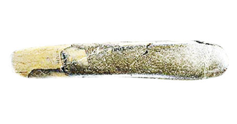 Paleolithic-era couples keep things exciting with 8-inch siltstone dildos, polished for her pleasure.  